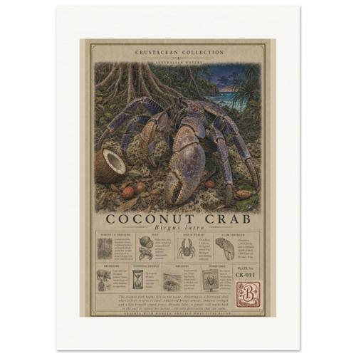 8b6d62ee-f33f-423e-bd32-129142d4d506